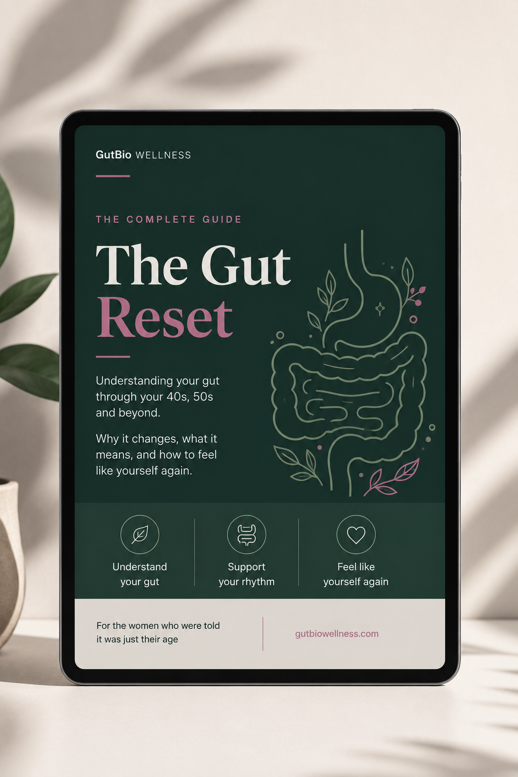 The Regularity Reset: A Complete Guide to Your Gut After 40
